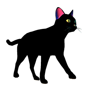 cat